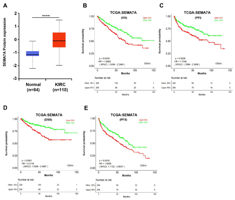 PMC9369114 – ijms-23-08799-f004