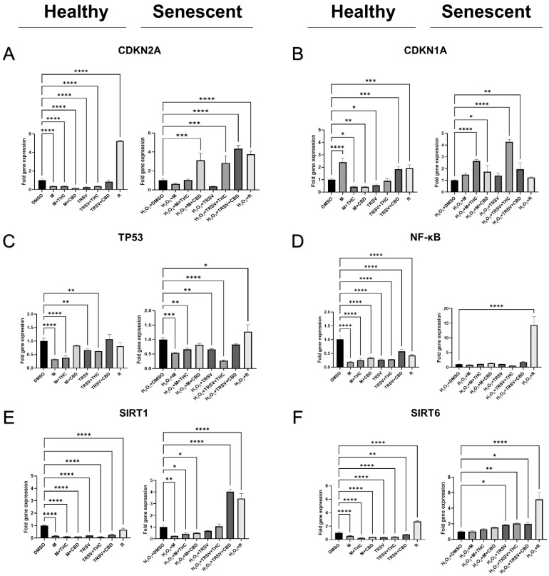 PMC9368899 – ijms-23-08804-f006