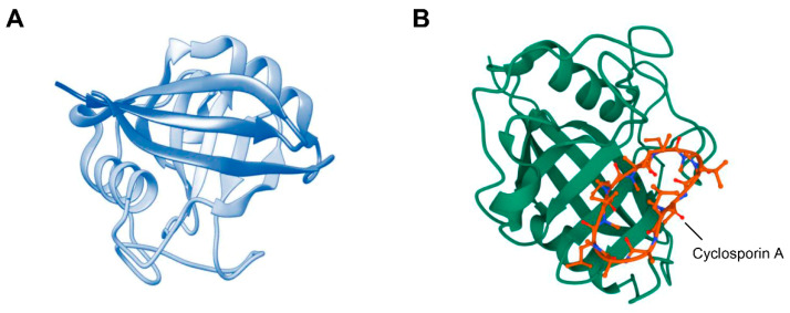 PMC9408992 – ijms-23-09341-f001