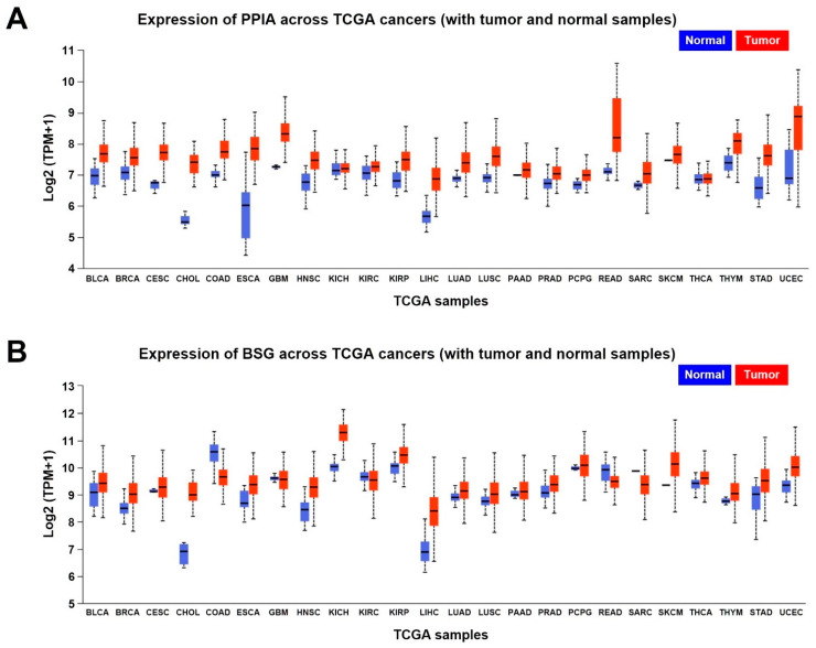 PMC9408992 – ijms-23-09341-f005