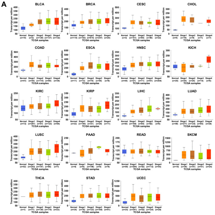 PMC9408992 – ijms-23-09341-f006