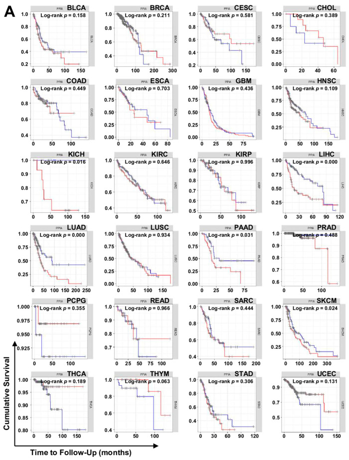 PMC9408992 – ijms-23-09341-f007
