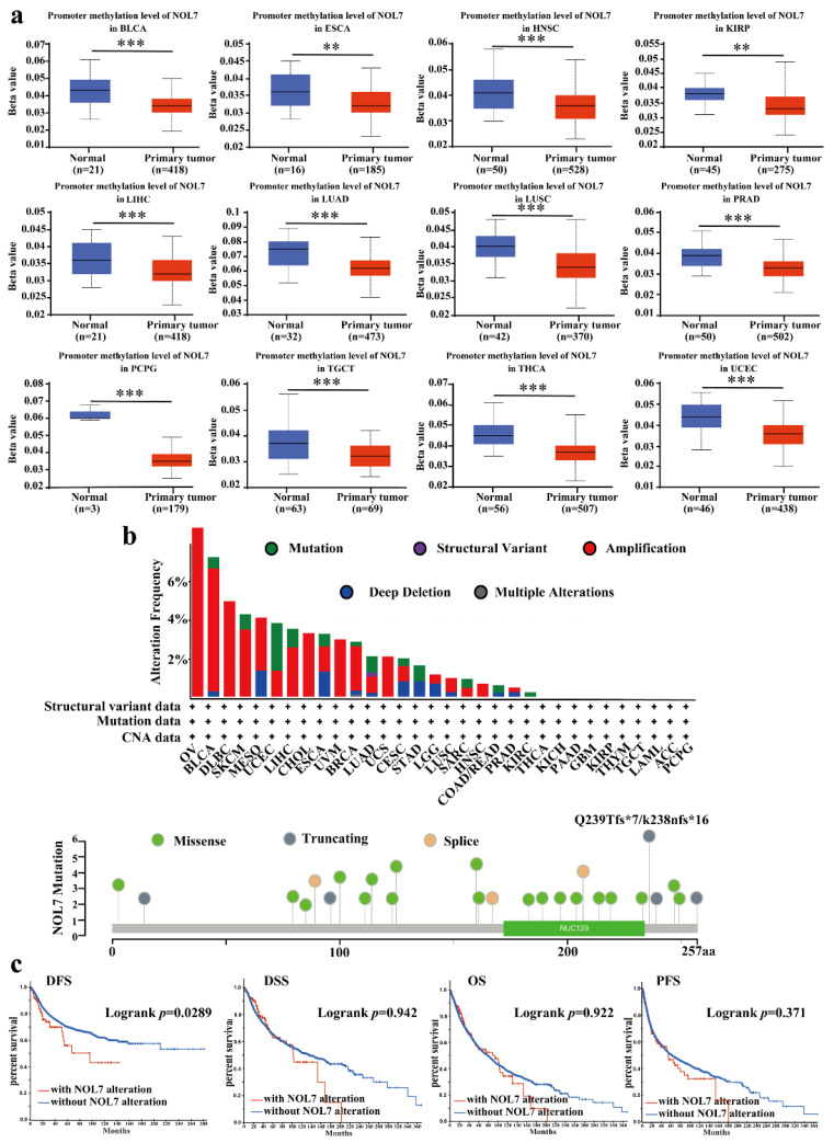PMC9455868 – ijms-23-09611-f004