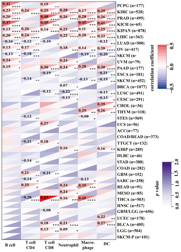 PMC9455868 – ijms-23-09611-f005