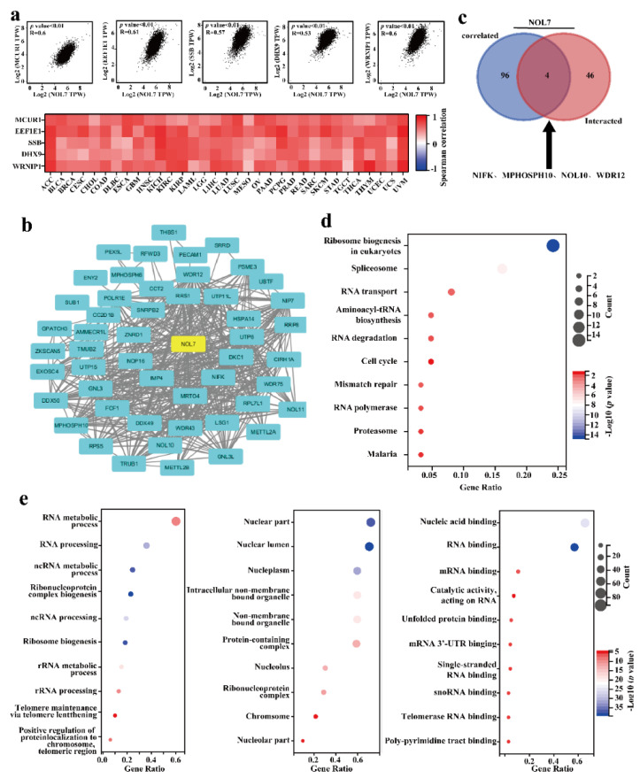 PMC9455868 – ijms-23-09611-f006
