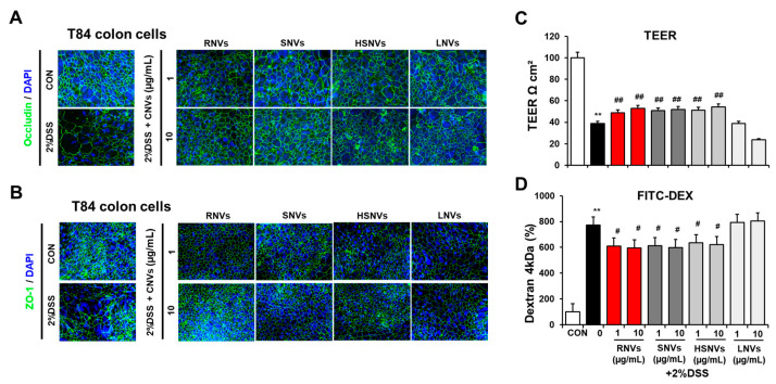 PMC9456148 – ijms-23-09955-f005