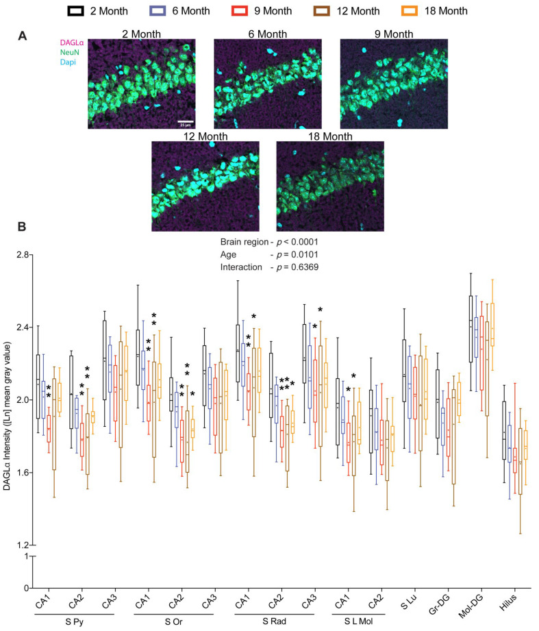 PMC9499672 – ijms-23-10254-f002