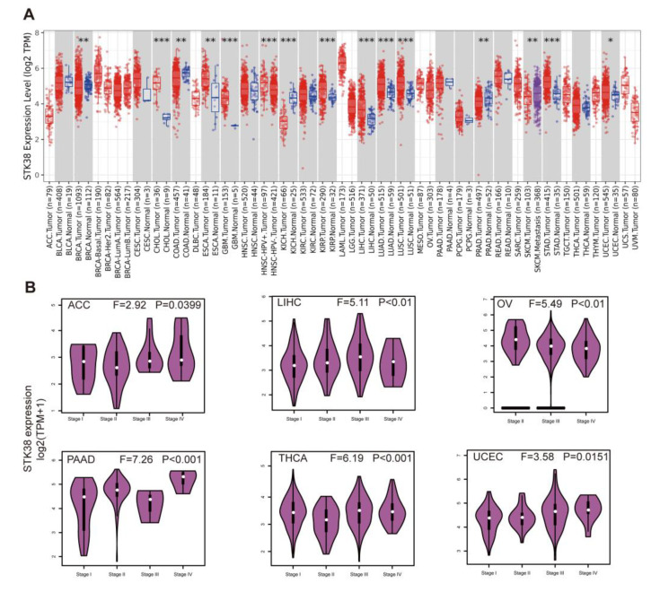 PMC9570386 – ijms-23-11590-f001
