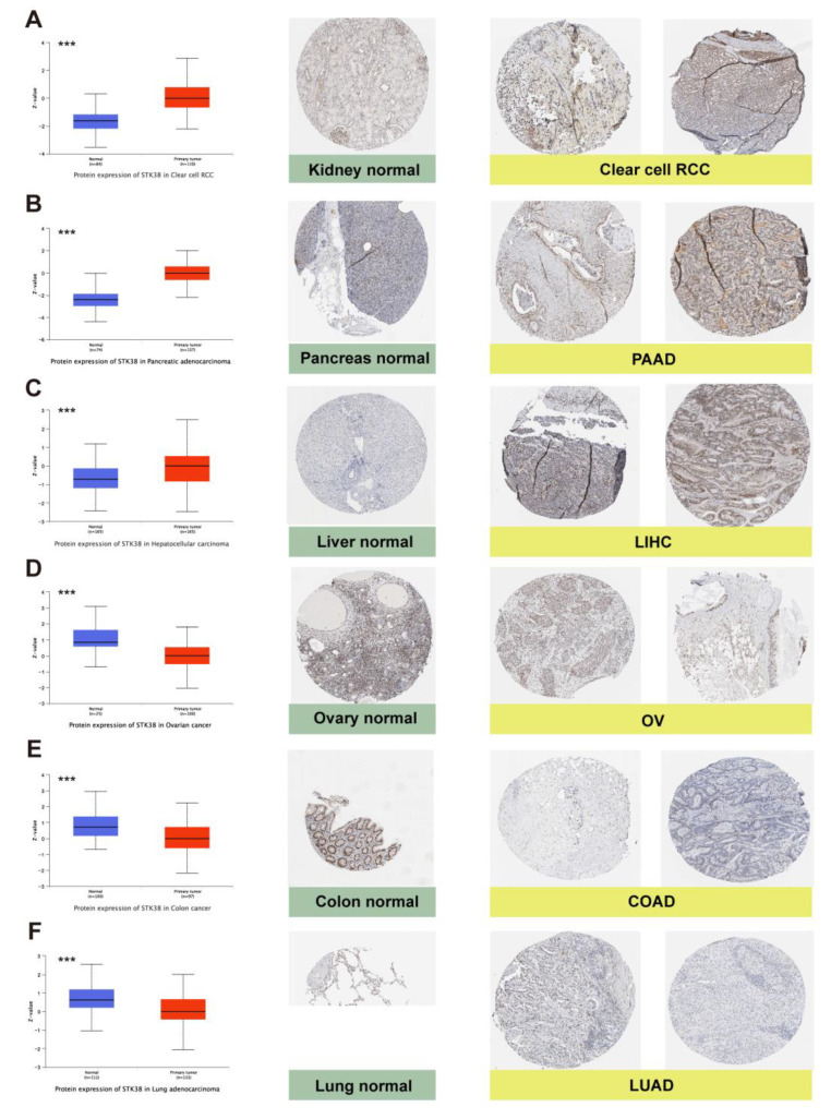 PMC9570386 – ijms-23-11590-f002
