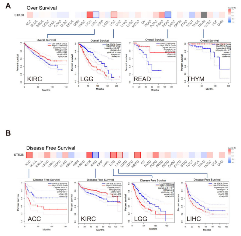 PMC9570386 – ijms-23-11590-f003