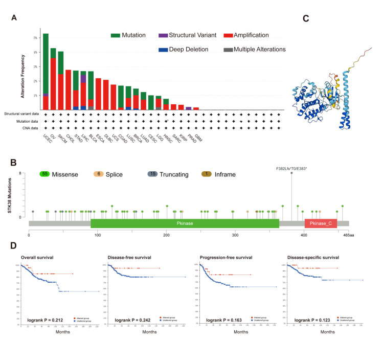 PMC9570386 – ijms-23-11590-f004