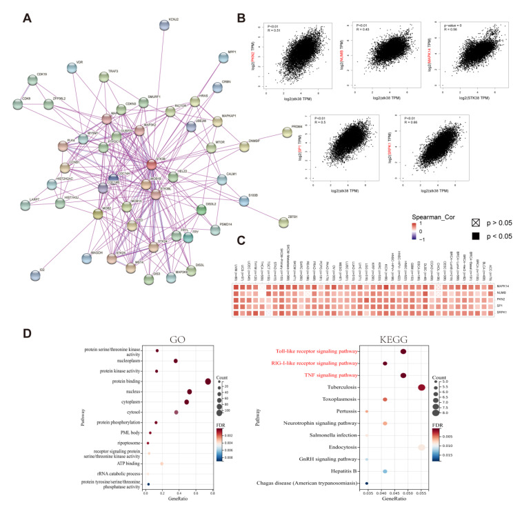 PMC9570386 – ijms-23-11590-f007