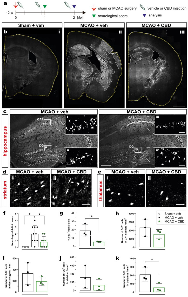 PMC9659180 – ijms-23-12886-f001