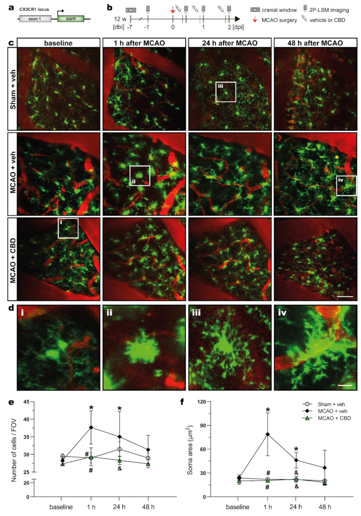 PMC9659180 – ijms-23-12886-f003