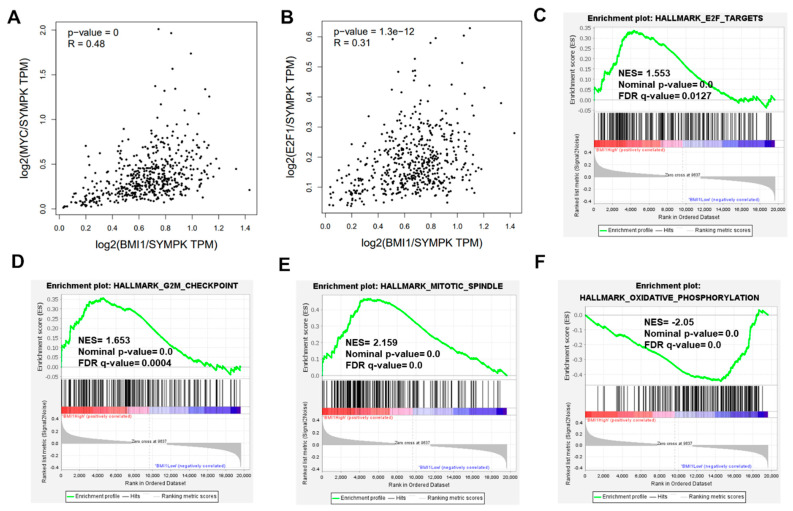 PMC9654490 – ijms-23-13276-f006