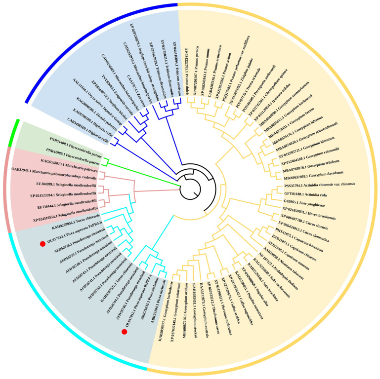 PMC9737788 – ijms-23-14906-f003