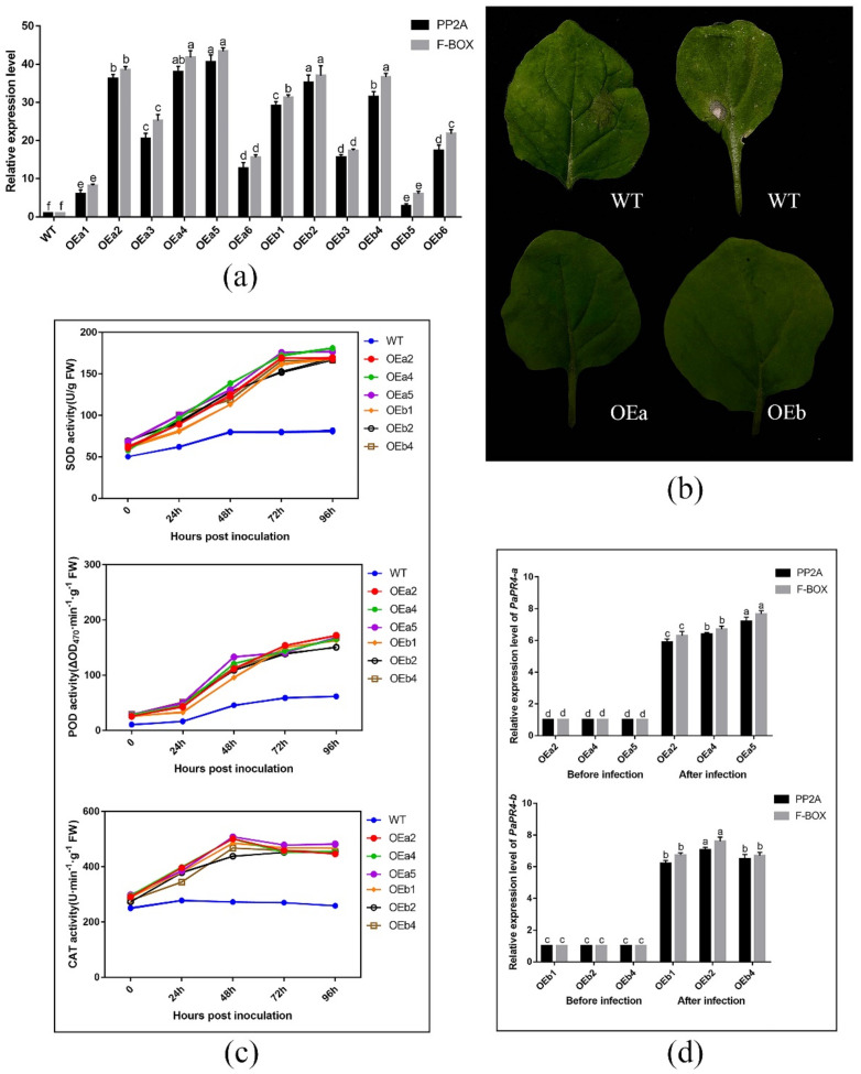 PMC9737788 – ijms-23-14906-f009