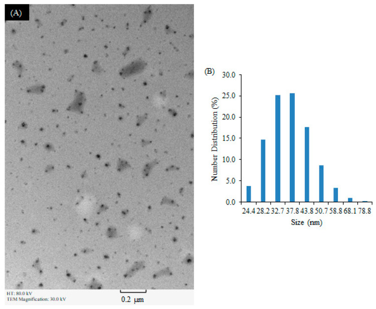 PMC9736776 – ijms-23-14931-f001