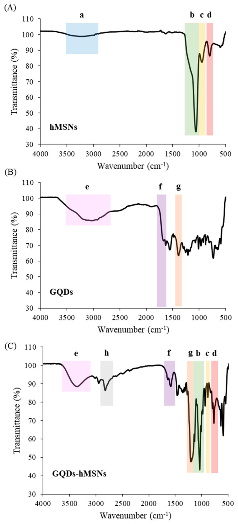 PMC9736776 – ijms-23-14931-f003
