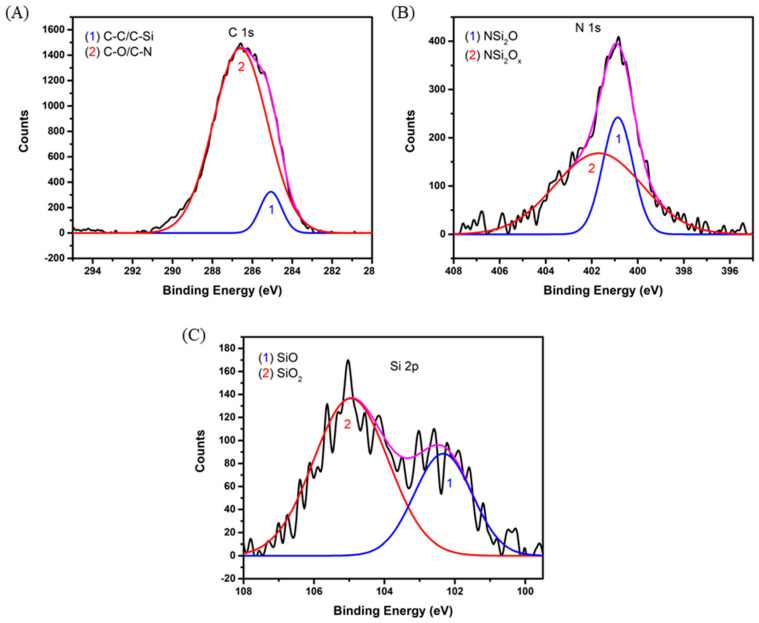 PMC9736776 – ijms-23-14931-f004