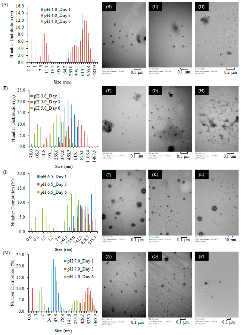 PMC9736776 – ijms-23-14931-f007