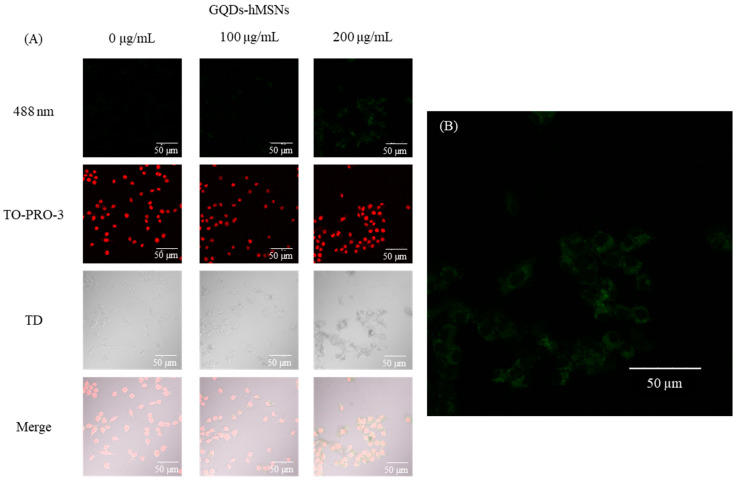 PMC9736776 – ijms-23-14931-f009