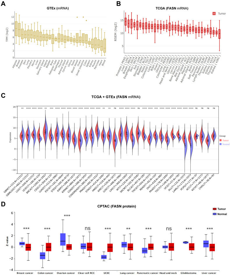 PMC9779179 – ijms-23-15603-f001