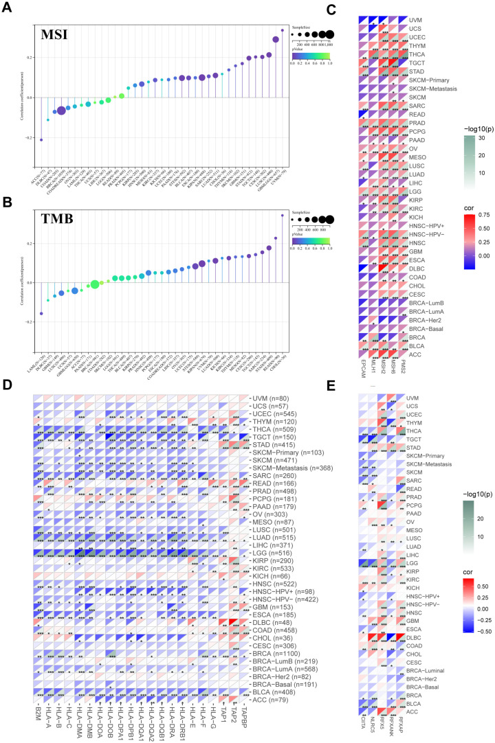 PMC9779179 – ijms-23-15603-f005