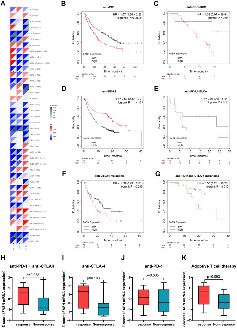 PMC9779179 – ijms-23-15603-f006