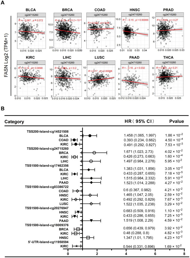 PMC9779179 – ijms-23-15603-f008