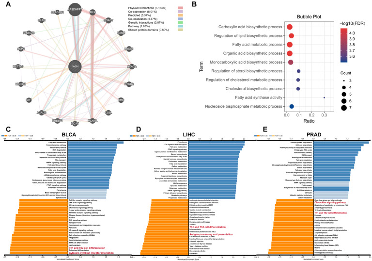 PMC9779179 – ijms-23-15603-f010