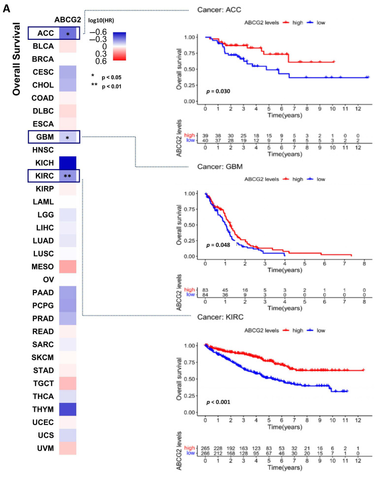 PMC9784838 – ijms-23-15955-f003
