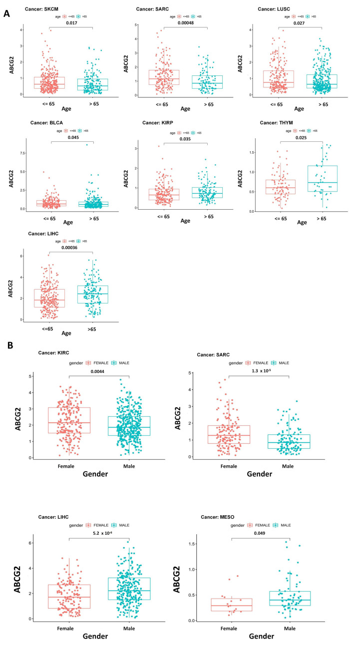 PMC9784838 – ijms-23-15955-f005