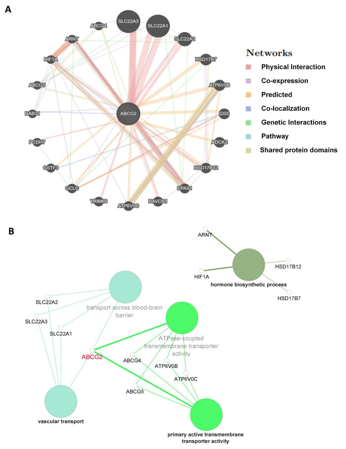 PMC9784838 – ijms-23-15955-f010