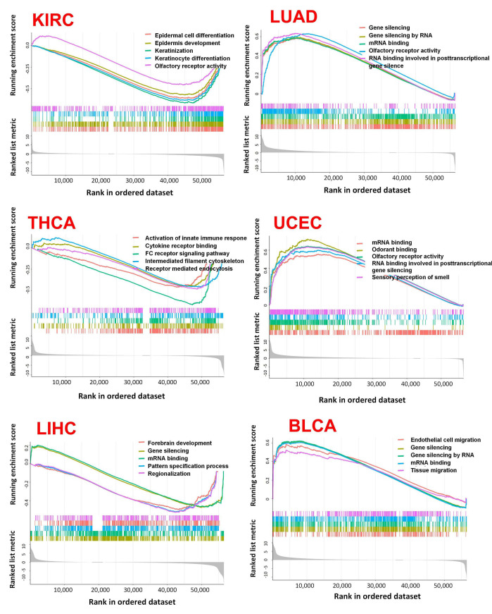 PMC9784838 – ijms-23-15955-f011