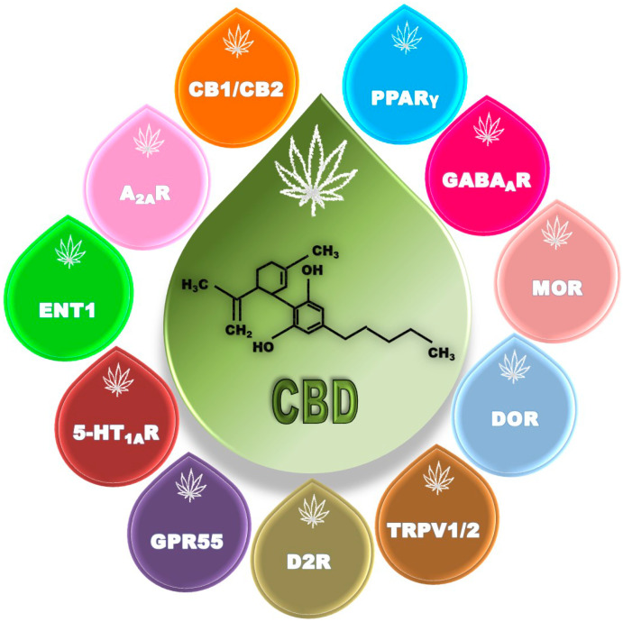 PMC9783044 – ijms-23-16181-f001