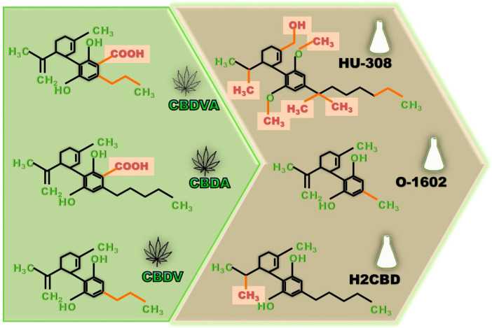 PMC9783044 – ijms-23-16181-f002