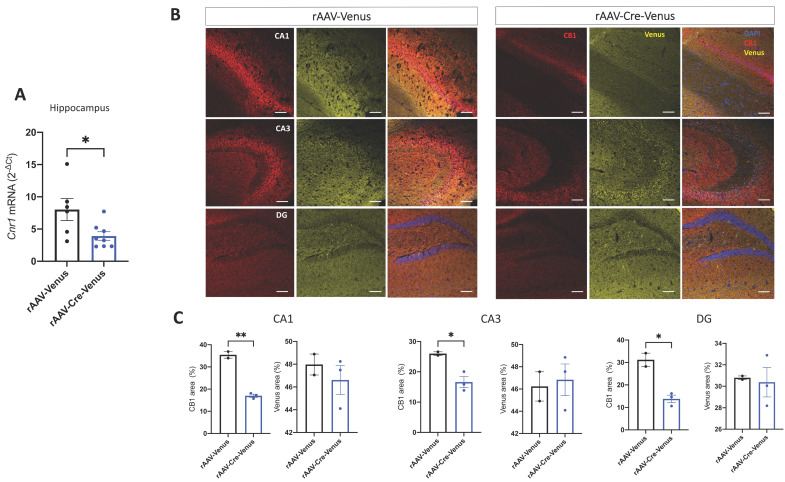 PMC9819823 – ijms-24-00026-f001