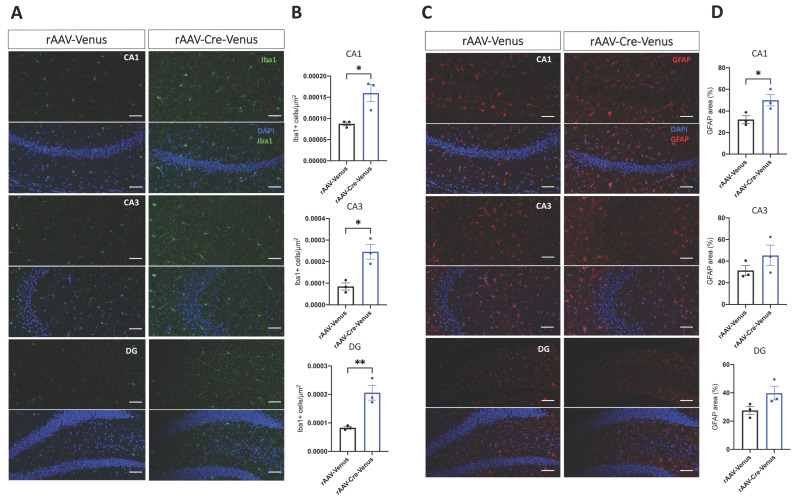 PMC9819823 – ijms-24-00026-f002