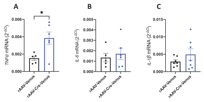 PMC9819823 – ijms-24-00026-f003