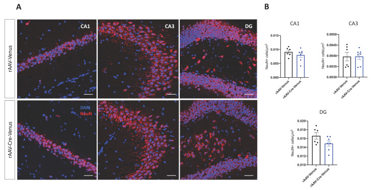 PMC9819823 – ijms-24-00026-f005