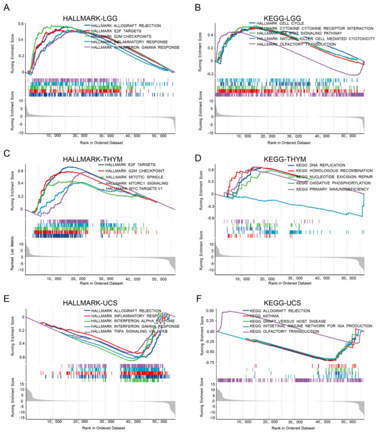 PMC9820597 – ijms-24-00375-f007