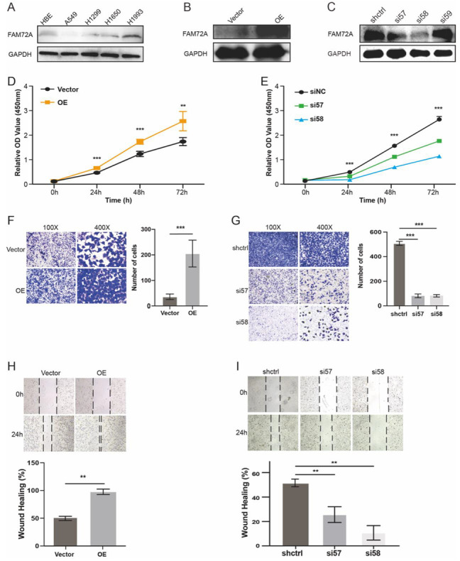 PMC9820597 – ijms-24-00375-f008