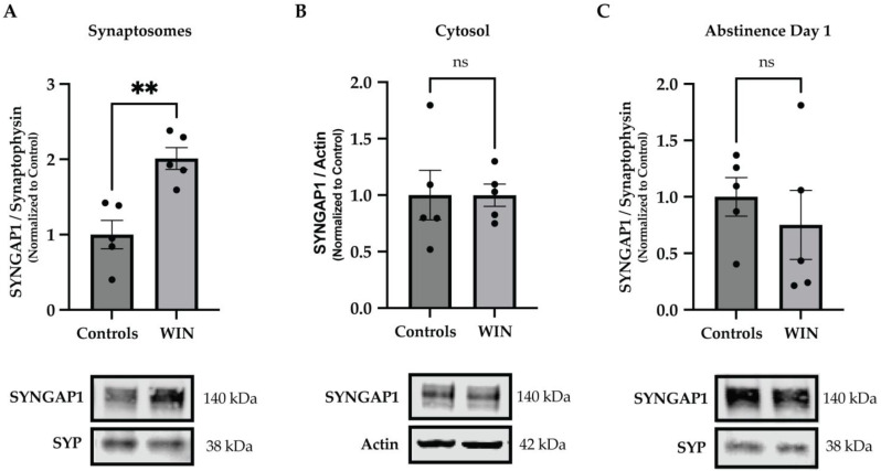 PMC9820805 – ijms-24-00698-f002