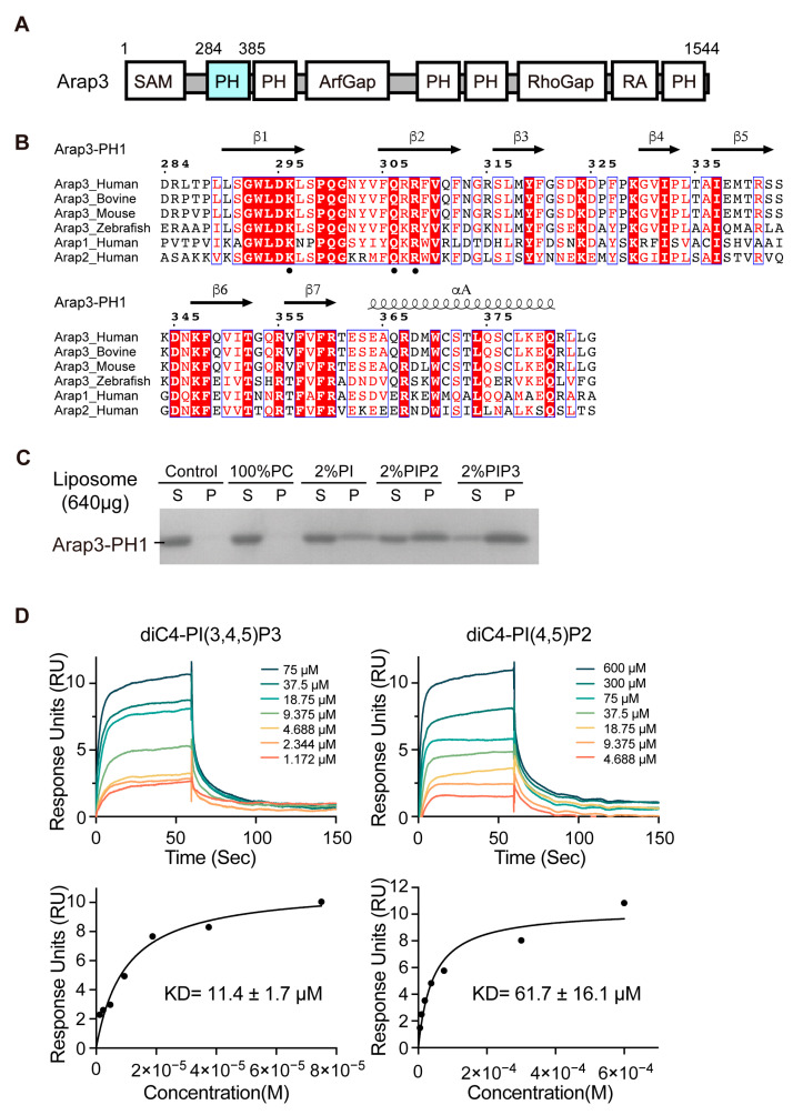 PMC9865853 – ijms-24-01125-f001