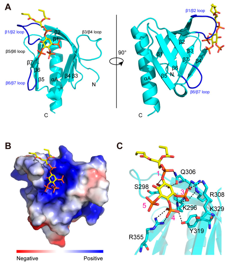 PMC9865853 – ijms-24-01125-f002