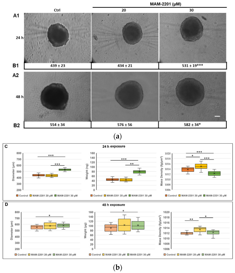 PMC9861655 – ijms-24-01421-f002