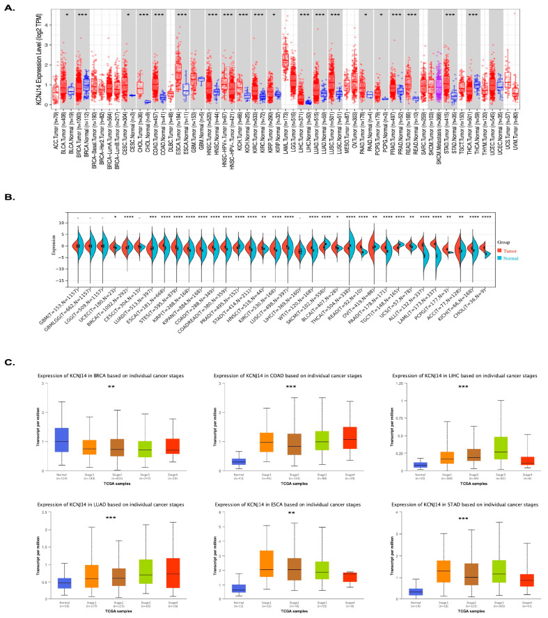 PMC9916715 – ijms-24-02049-f001