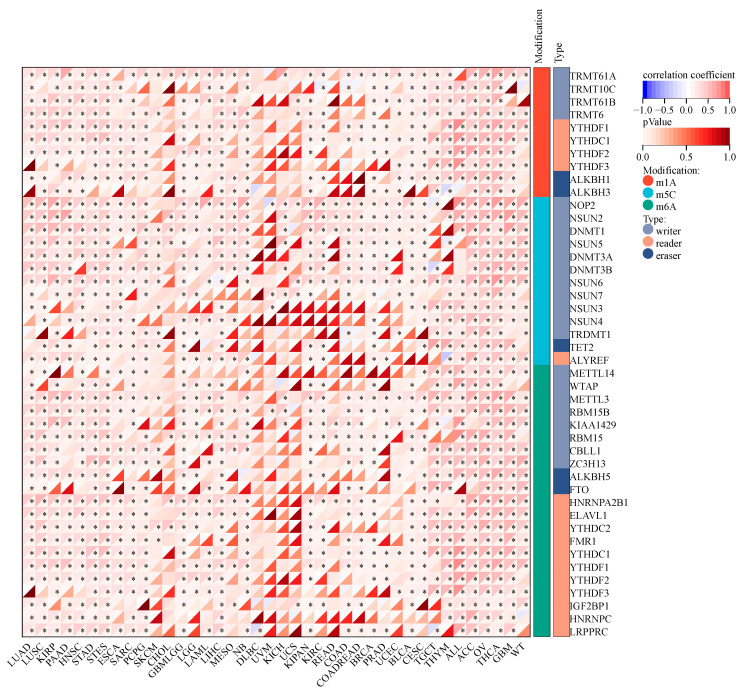 PMC9916715 – ijms-24-02049-f004