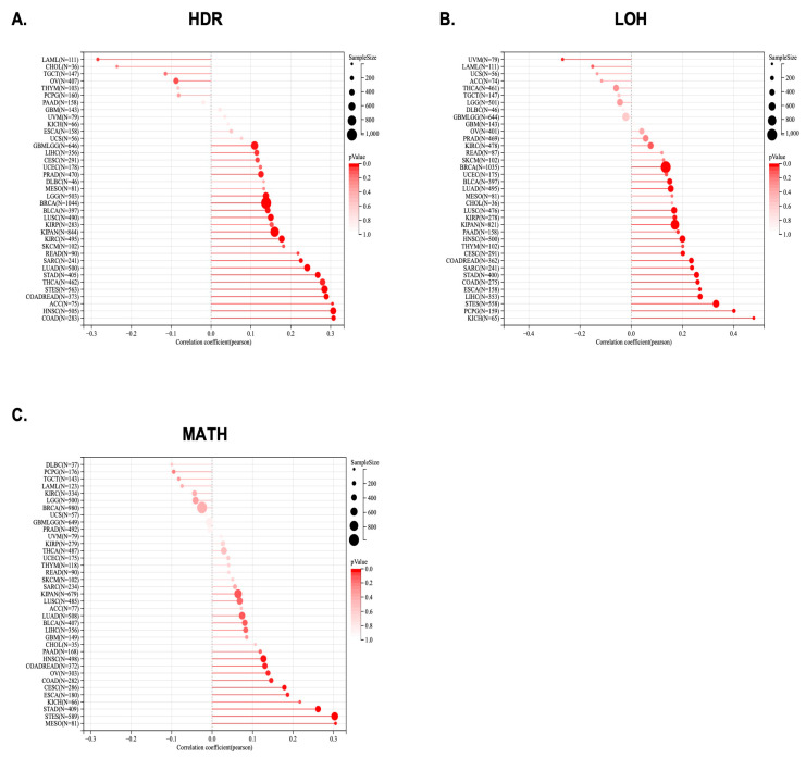PMC9916715 – ijms-24-02049-f006